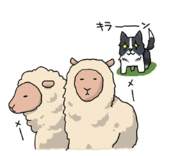 Border collie stamp sticker #4948229