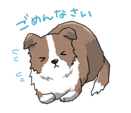 Border collie stamp sticker #4948230