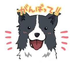 Border collie stamp sticker #4948231