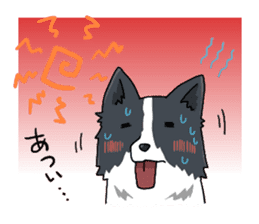 Border collie stamp sticker #4948233