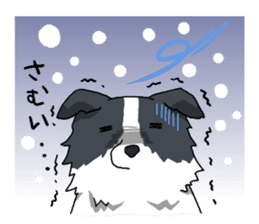 Border collie stamp sticker #4948234