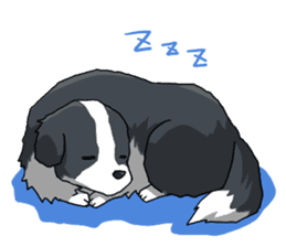 Border collie stamp sticker #4948236