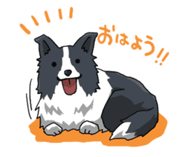 Border collie stamp sticker #4948237