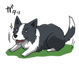 Border collie stamp sticker #4948240