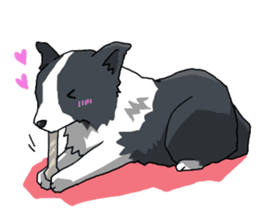 Border collie stamp sticker #4948241