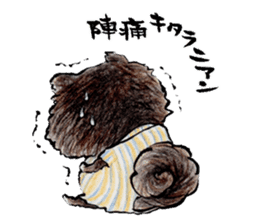 Pome-Manian2 sticker #4948689