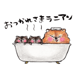 Pome-Manian2 sticker #4948701