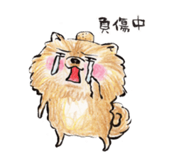 Pome-Manian2 sticker #4948707