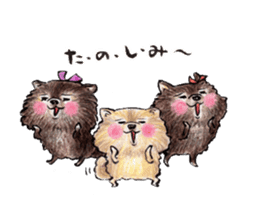 Pome-Manian2 sticker #4948711