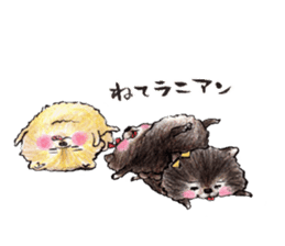 Pome-Manian2 sticker #4948720