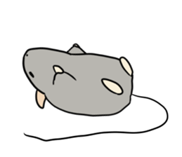 mice koma,ema sticker #4949190