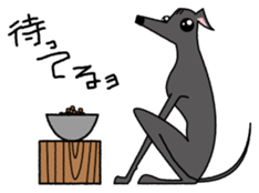 Life of the Italian greyhound Vol.3 sticker #4949810