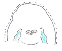 fat white parakeet sticker #4950451