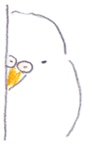 fat white parakeet sticker #4950452