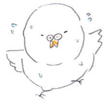 fat white parakeet sticker #4950462