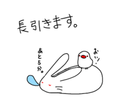 whiteeveryday sticker #4954004