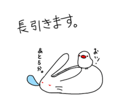 whiteeveryday sticker #4954004