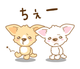 CHIWAWAN! NIKOICHI sticker #4954006