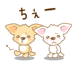 CHIWAWAN! NIKOICHI sticker #4954006