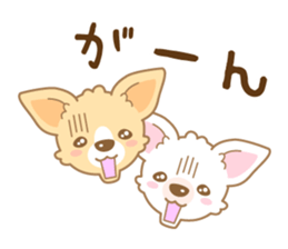 CHIWAWAN! NIKOICHI sticker #4954007