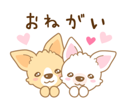 CHIWAWAN! NIKOICHI sticker #4954009