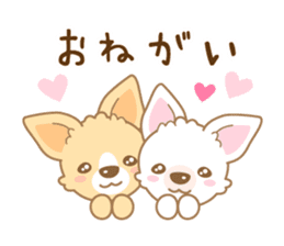 CHIWAWAN! NIKOICHI sticker #4954009