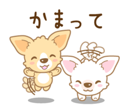 CHIWAWAN! NIKOICHI sticker #4954014