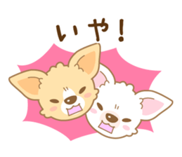 CHIWAWAN! NIKOICHI sticker #4954017