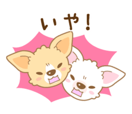 CHIWAWAN! NIKOICHI sticker #4954017