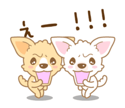 CHIWAWAN! NIKOICHI sticker #4954018
