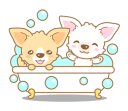 CHIWAWAN! NIKOICHI sticker #4954022