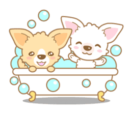 CHIWAWAN! NIKOICHI sticker #4954022