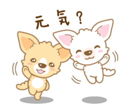 CHIWAWAN! NIKOICHI sticker #4954025