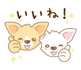 CHIWAWAN! NIKOICHI sticker #4954026