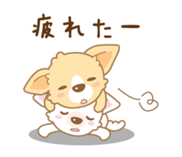 CHIWAWAN! NIKOICHI sticker #4954028