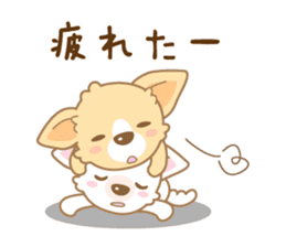 CHIWAWAN! NIKOICHI sticker #4954028