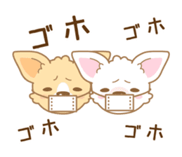 CHIWAWAN! NIKOICHI sticker #4954029