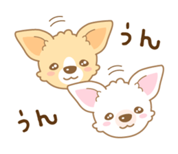 CHIWAWAN! NIKOICHI sticker #4954044