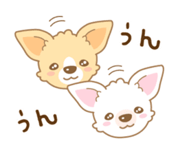 CHIWAWAN! NIKOICHI sticker #4954044