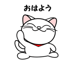 Greetings of a white cat sticker #4955208