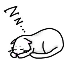 Cat of jade green eyes sticker #4956773