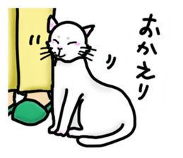 Cat of jade green eyes sticker #4956774