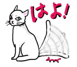 Cat of jade green eyes sticker #4956775