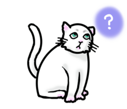 Cat of jade green eyes sticker #4956777