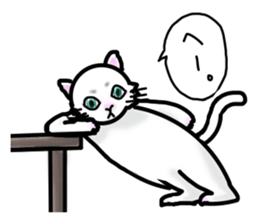 Cat of jade green eyes sticker #4956783