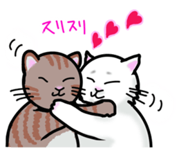 Cat of jade green eyes sticker #4956785