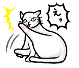 Cat of jade green eyes sticker #4956790