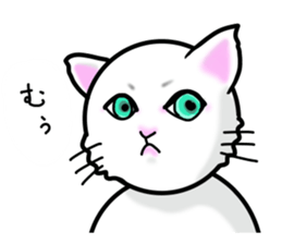 Cat of jade green eyes sticker #4956793