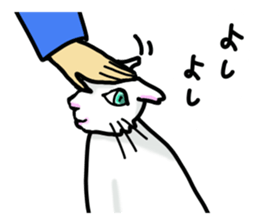 Cat of jade green eyes sticker #4956794