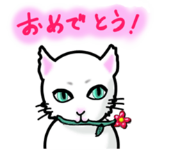 Cat of jade green eyes sticker #4956796